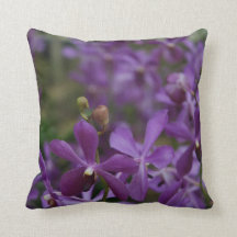 Photographie florale : Orchidées violettes dans un
