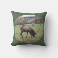 Photographie Gros Antlers D'Elk Homme Grange