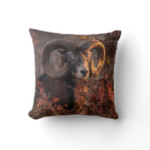 Photographie originale de faune sauvage de Mouflon