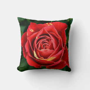 Coussin Photographie Rose Rouge