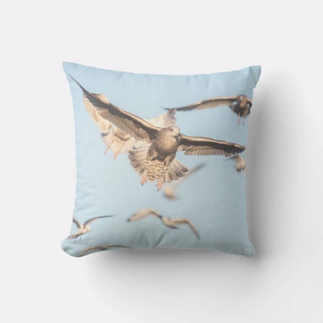Coussin Photos de Seaguls Nature (Recto)