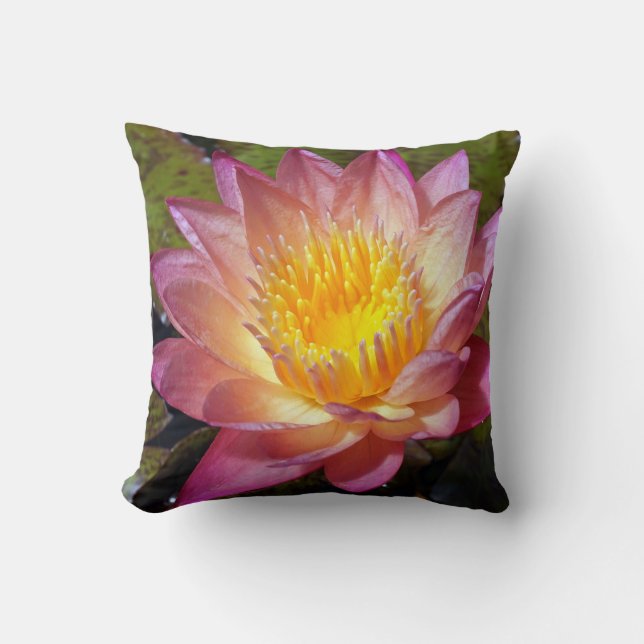 Coussin Photos Pink Water Lily (Recto)