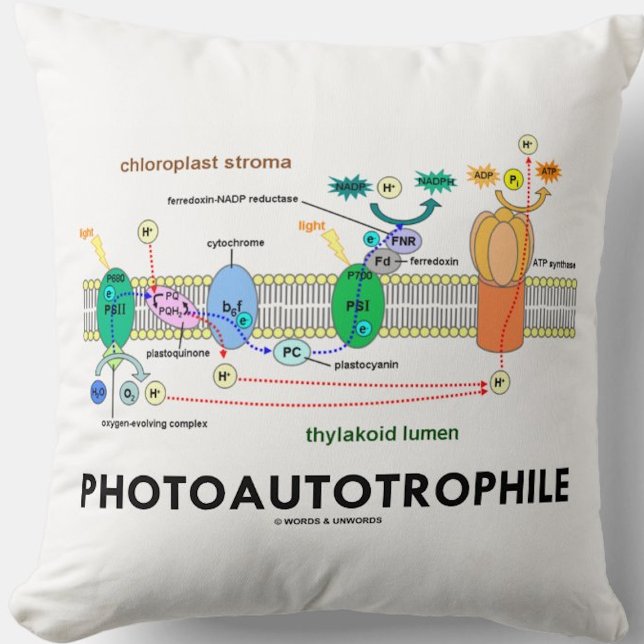 Coussin Photosynthèse autotrophile (Throw pillow for any food producer)