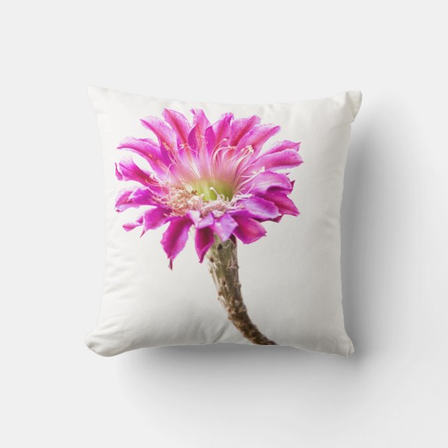 Coussin Piazza rose fleur de cactus en fleur (Recto)