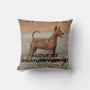 Coussin PIC rouge de l'amour W de goupille minimum pleine
