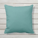 Coussin Pic solide Turquoise<br><div class="desc">Coussin de couleur solide Turquoise. Pour ceux qui ce que do-it-yourself : Super Modèle personnalisé pour Jouer l'oreiller. Coussins customisés. Personnalisez avec votre propre nom, motif, design, devis, monogramme ou photo. Utilisez nos modèles cool, oeuvres d'art, photos, graphiques et illustrations, puis ajoutez des noms, du texte, des guillemets et des...</div>