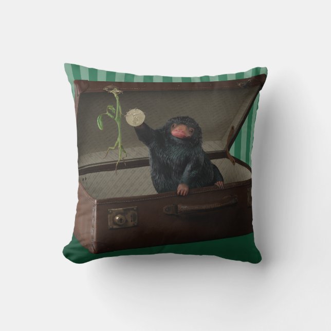 Coussin Pickett & Teddy in Briefcase (Recto)