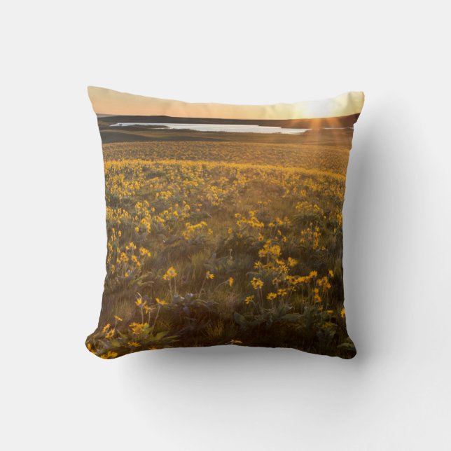 Coussin Pied de flèche Balsamroot Fleurs sauvages (Recto)