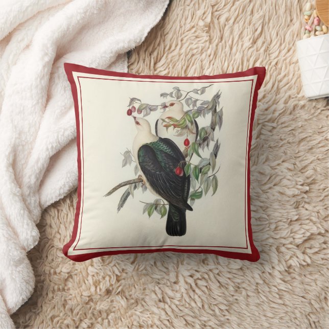 Coussin Pigeon à tête blanche, (Couverture)