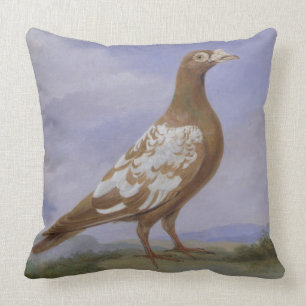 Coussin Pigeon voyageur pie rouge (huile sur la toile)