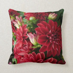 Coussin Pilliow rouge de chrysanthème avec le dos de vert
