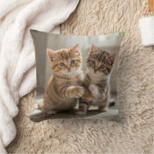 Coussin Pilloe (Couverture)
