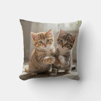 Coussin Pilloe