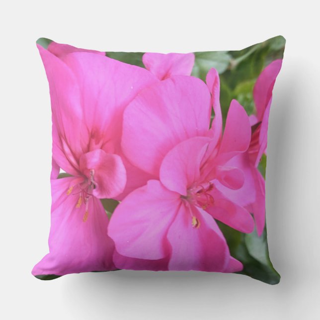 Coussin Pink d'hiver (Recto)