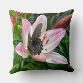 Coussin Pink White Tiger Lilly Flower Blue Butfly Nom (Verso)