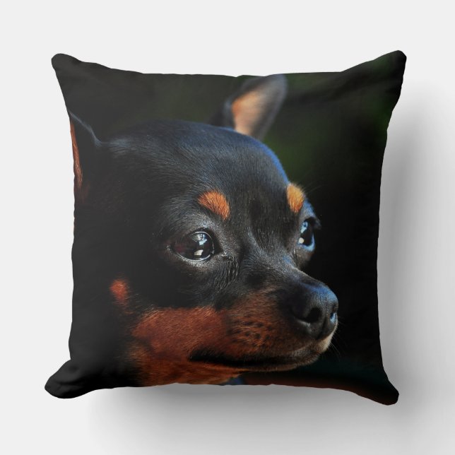 Coussin Pinscher miniature lance l'oreiller (Recto)