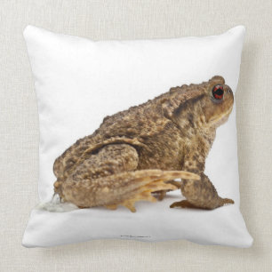 Coussin Pisser de crapaud commun ou de crapaud européen