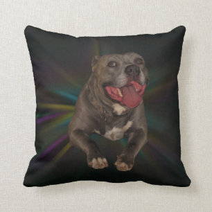 Coussin Pitbull