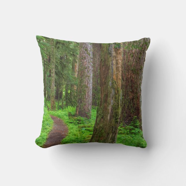 Coussin Pittoresque de forêt ancienne (Recto)