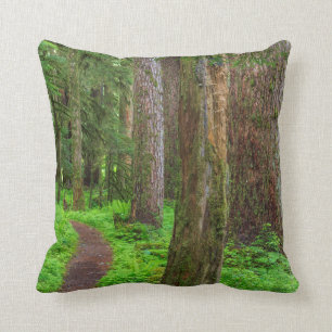 Coussin Pittoresque de forêt ancienne