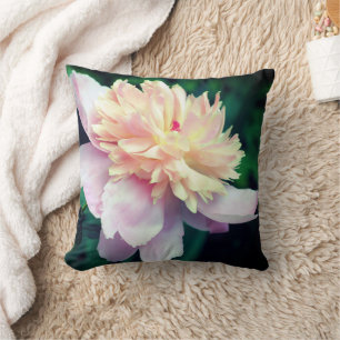Coussin Pivoine Rose Fleurie En Gros Plan