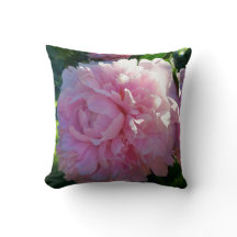 Pivoines roses dans mon jardin - nature de fleurs