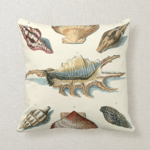 Coussin Plage de Shell soignée