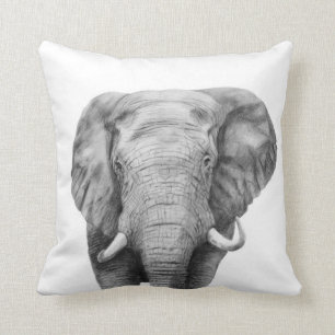 Coussin Plan de sauvegarde IV