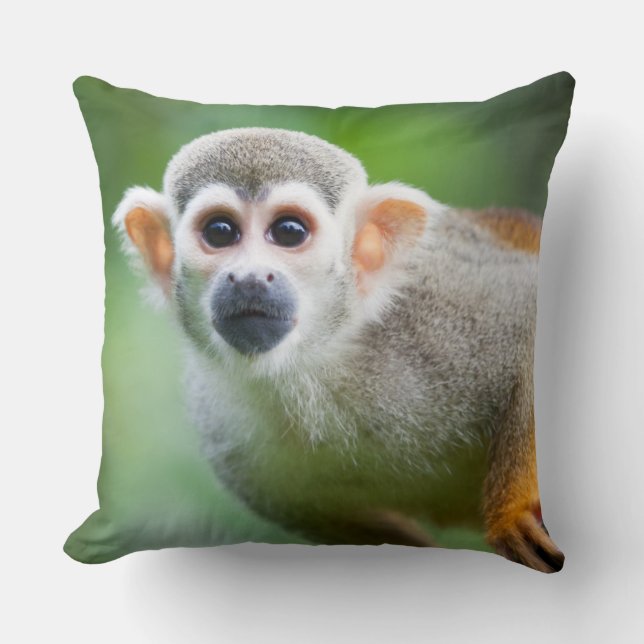Coussin Plan rapproché d'un singe-écureuil commun (Recto)