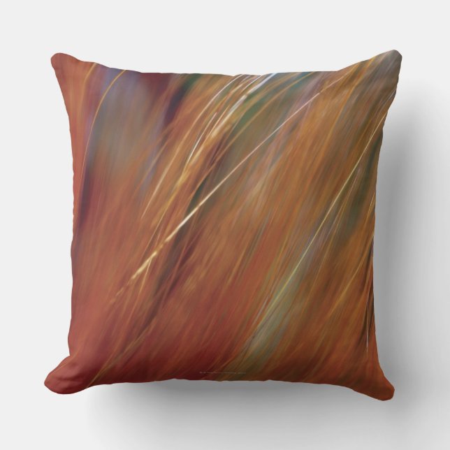 Coussin Plan rapproché extrême de blé dans le terrain (Recto)