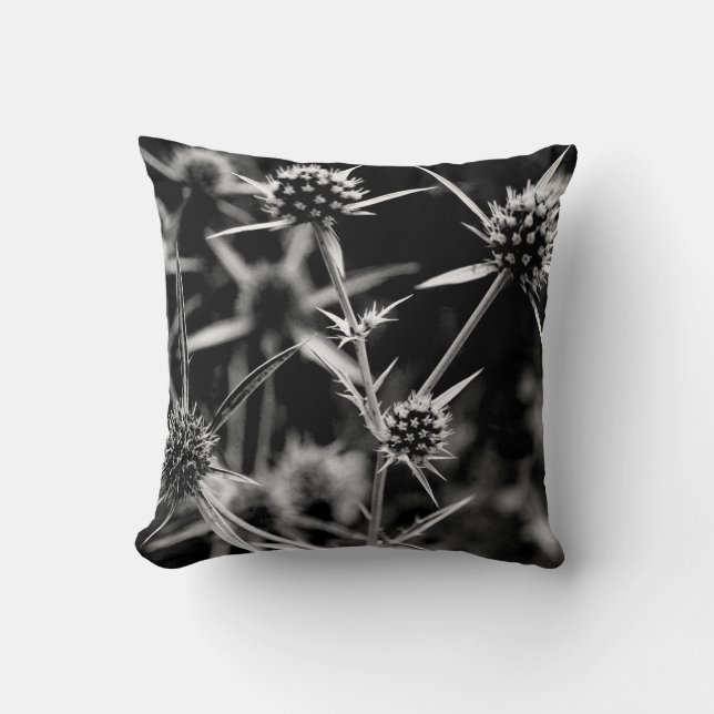 Coussin plante (Recto)