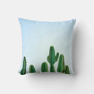 Coussin Plante cactus vert en arrière - plan blanc