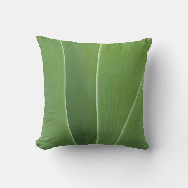 Coussin Plante d'Agave de près (Recto)