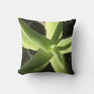 Coussin Plante d'aloès