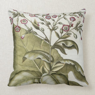 Coussin Plante de tabac, du "Hortus Eystettensis" par B