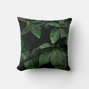 COUSSIN PLANTE VERT EN PHOTOGRAPHIE CONCENTRÉE
