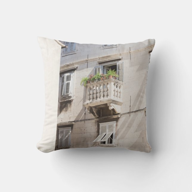 COUSSIN PLANTE VERT POTTÉ SUR BALCON BROWN MAISON EN BÉTON (Recto)