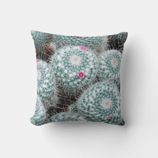 Coussin Plantes de cactus aux minuscules fleurs roses
