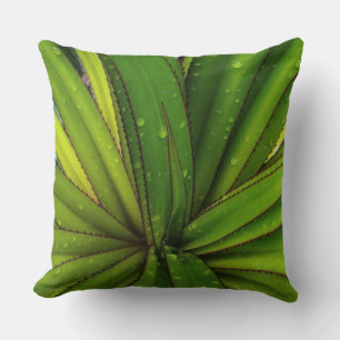 Coussin Pluie matinale sur le pin à vis