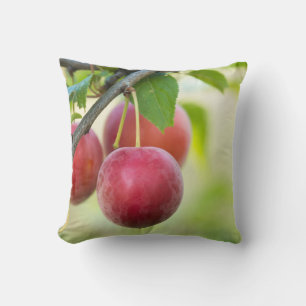 Coussin Plum cerise sur branche