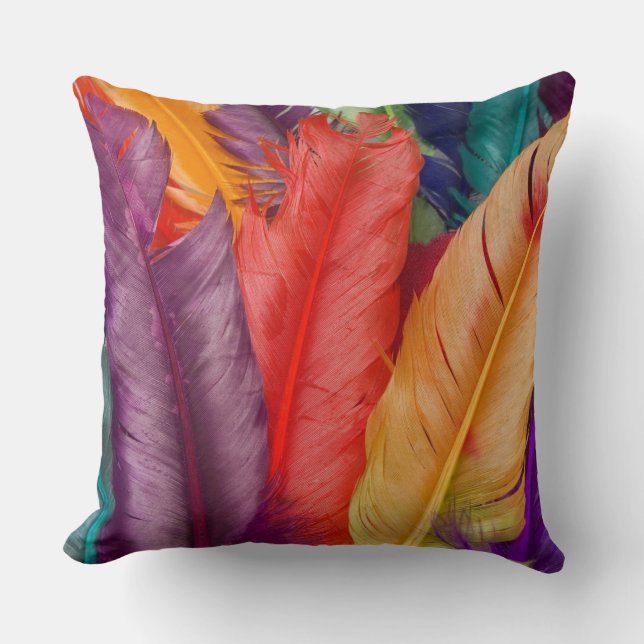 Coussin Plumes (Recto)