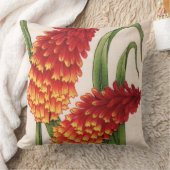 Coussin poignards de hotentot alias kniphofia (Couverture)