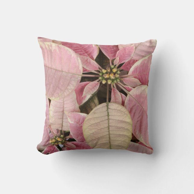 Coussin Poinsettia (Recto)