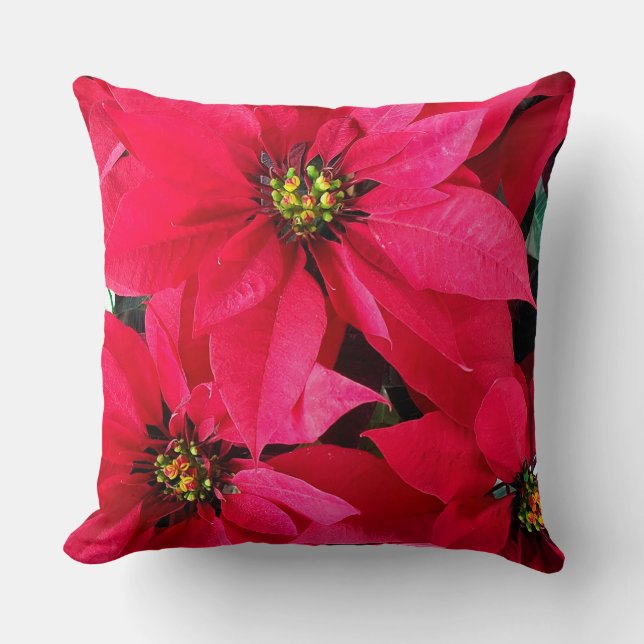 Coussin Poinsettias rouges (Recto)