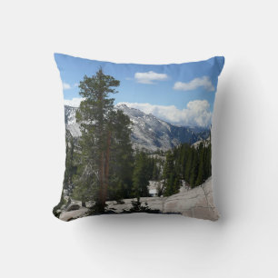 Coussin Point III d'Olmsted dans le parc national Yosemite