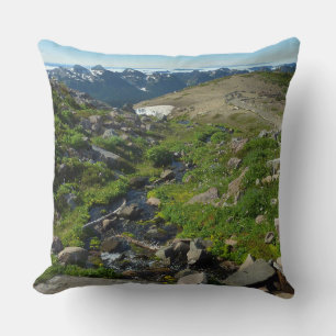 Coussin Point panorama du mont Rainier
