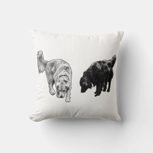 Coussin Points d'ombre citrouille — Retriever Duo (Recto)