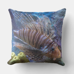 Coussin Poisson