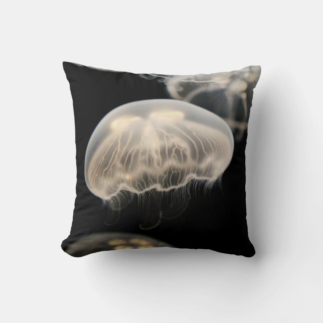 COUSSIN POISSON BLANC (Recto)