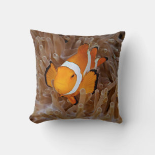 Coussin Poisson-clown - Molokai, falaise de la côte nord